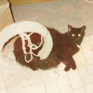 Meet your Posher, Laura